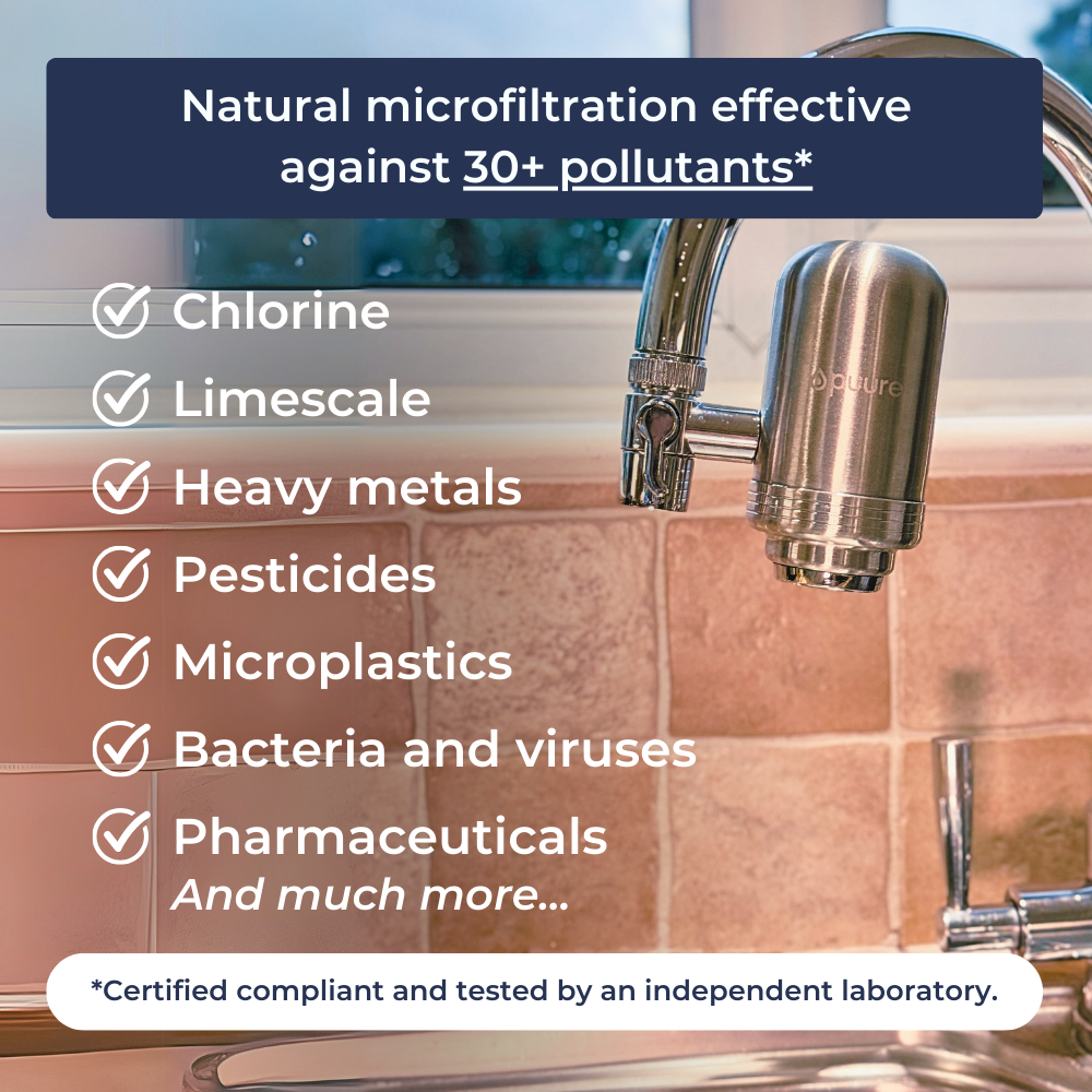 Filtro de acero inoxidable + adaptadores